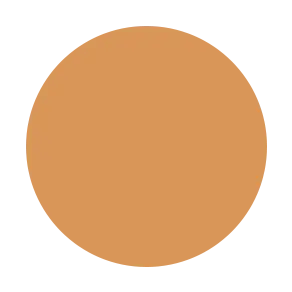 Liquid Concealer - Blak Label PriPedi