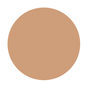 Liquid Concealer - Blak Label PriPedi