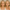 Liquid Concealer - Blak Label PriPedi